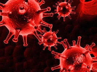 Zatürre Mikrobu Çeşitleri ve Tedavisi